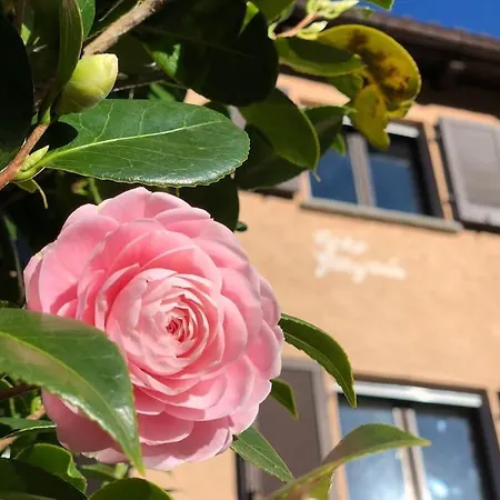 Apartamento Casa Sul Ruscello - Piano Terra Casa Gauguin