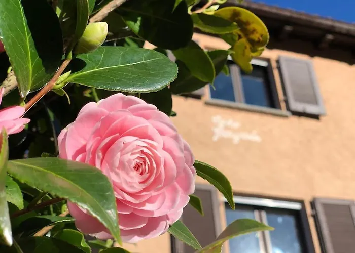 Apartamento Casa Sul Ruscello - Piano Terra Casa Gauguin